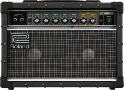 Roland JC-22