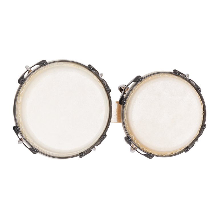Bongos Stagg percussions latines Station-Music Montgermont Rennes Acoustique