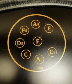 Meinl HD4 Handpan Meinl D KURDsonotherapie bien-etre instruments du monde Station-Music Rennes Montgermont
